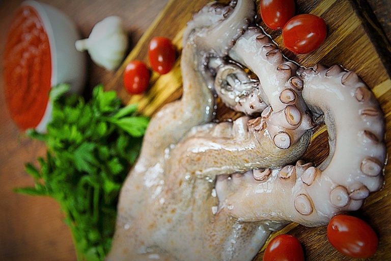 رأسيات الأرجل ... الاستخدامات والوصفات