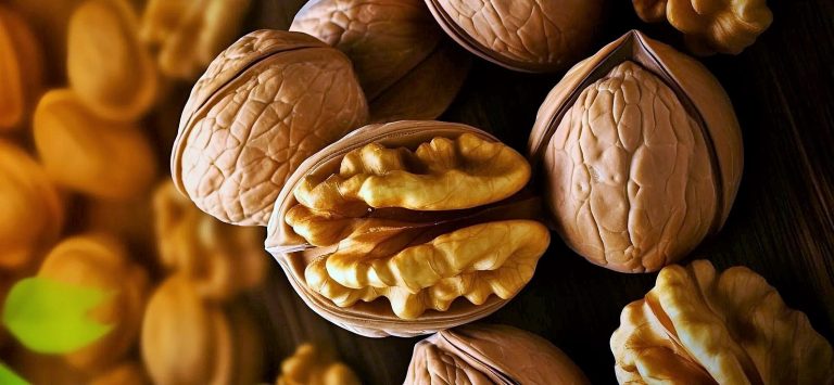 زيت الجوز النباتي ... الفوائد والاستخدامات والنصائح