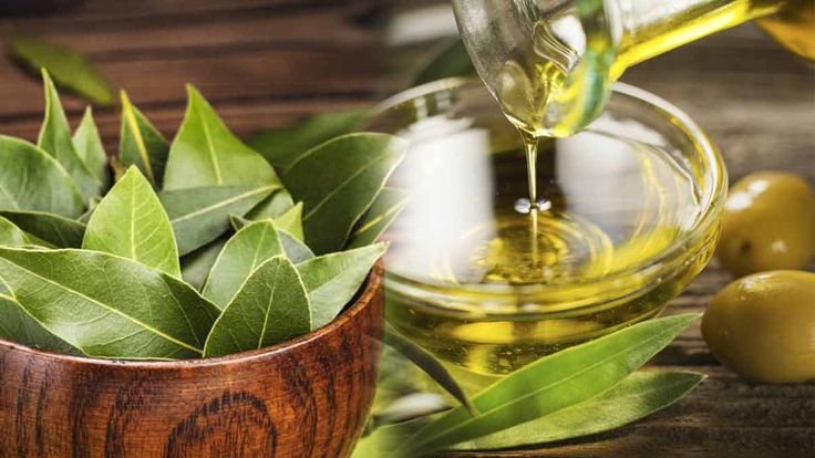 زيت الغار العطري … الهوية والأصول زيت الغار العطري ... الهوية والأصول