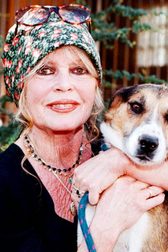 بريجيت باردو ... النجمة المناضلة التي تركت كل شيء لأجل حقوق الحيوان