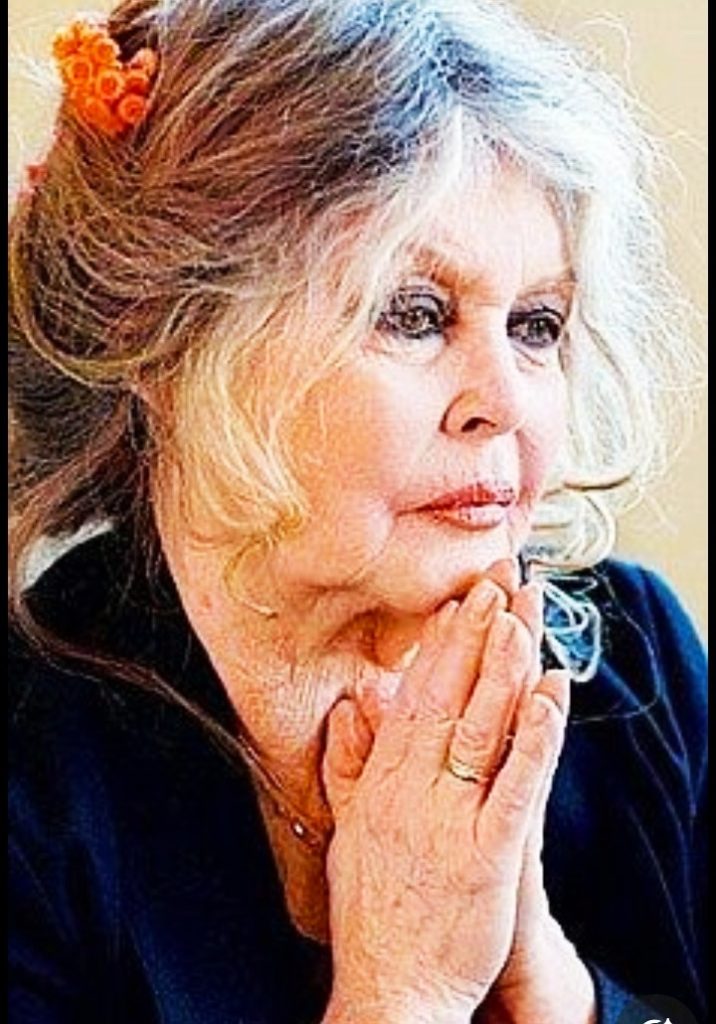 بريجيت باردو  ... نضال إلى آخر نفس!