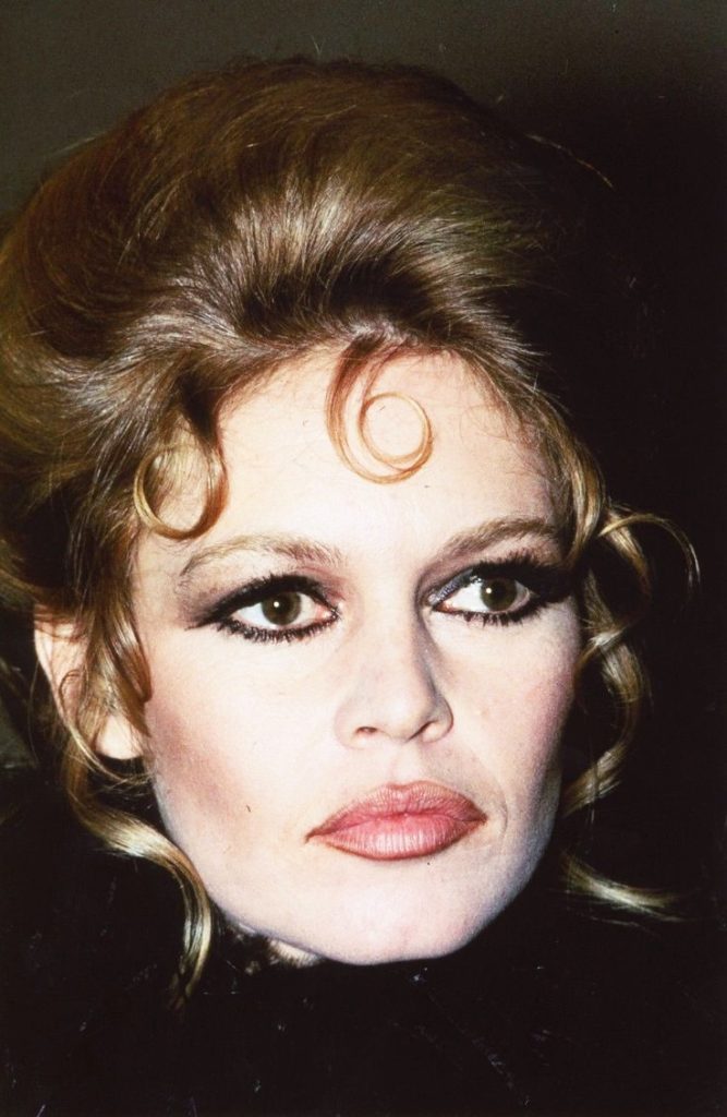 حياة بريجيت باردو ... الجزء العاشر والاخير