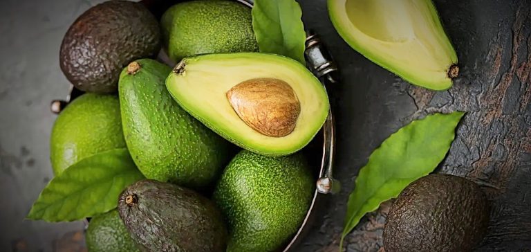 الأفوكادو يُسبب زيادة الوزن ... صح أم خطأ؟