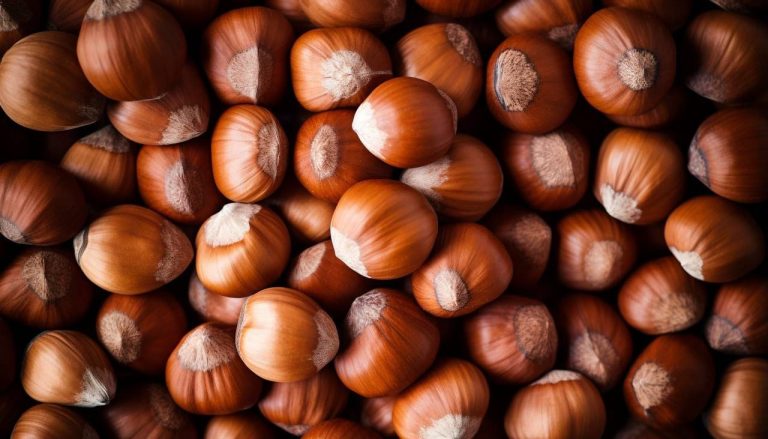 البندق يُسبب زيادة الوزن ... صح أم خطأ؟