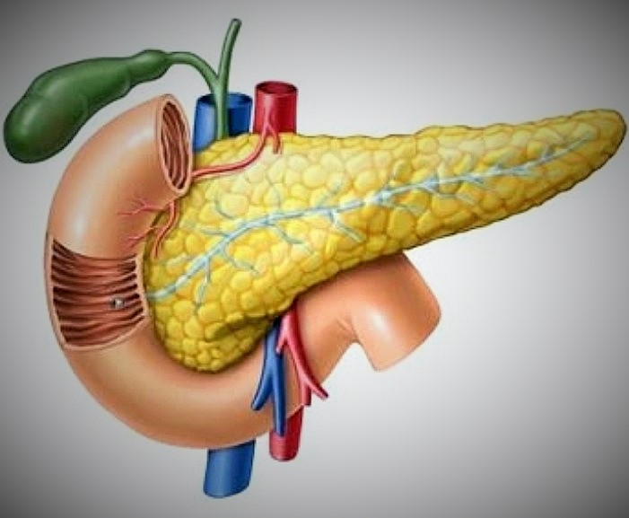 سرطان البنكرياس … علماء إسبان يكتشفون العلاج سرطان البنكرياس ... علماء إسبان يكتشفون العلاج
