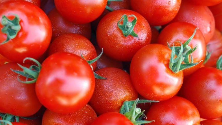 الطماطم تسبب الإسهال ... صح أم خطأ؟