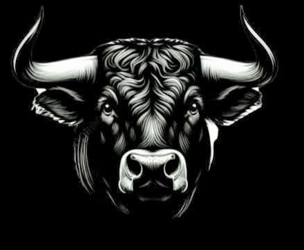 برج الثور ... لقد وضعت الأمور في نصابها بقلبك