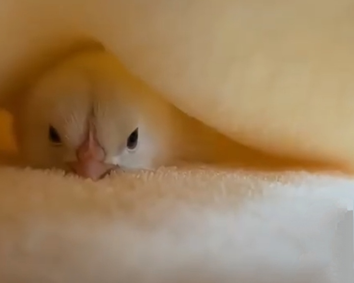 لا أعرف كيف أتعامل مع بكاء طفلي … ساعدوني! لا أعرف كيف أتعامل مع بكاء طفلي ... ساعدوني!