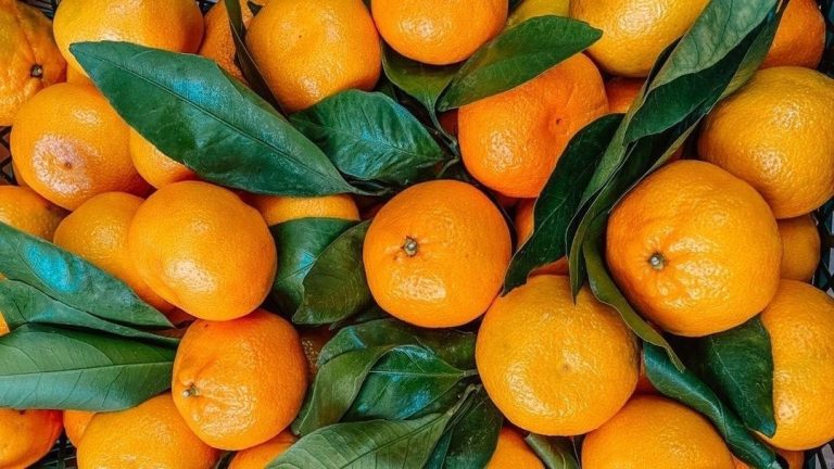 قشور الكليمنتينا صالحة للأكل ... صحيح أم خطأ؟