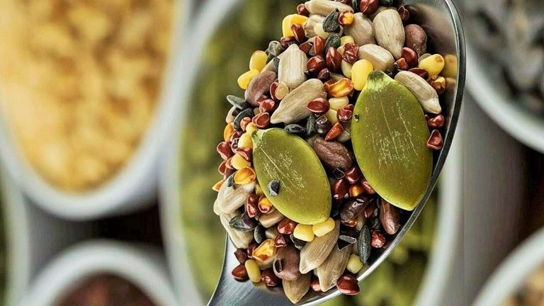أفكار ووصفات لوجبات الحوامل النباتيات