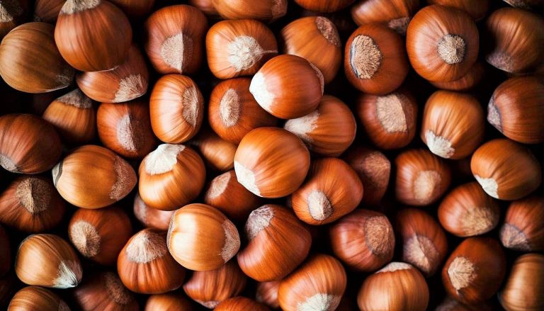 البندق ... جميع الفوائد الصحية