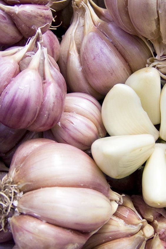 الثوم يخفض ضغط الدم المرتفع … صحيح أم خطأ؟ الثوم يخفض ضغط الدم المرتفع ... صحيح أم خطأ؟