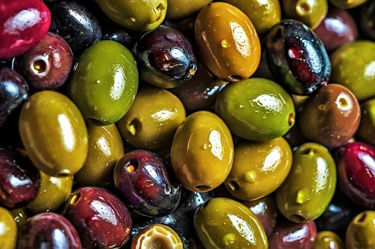 الزيتون … الفوائد الصحية والغذائية الزيتون ... الفوائد الصحية والغذائية