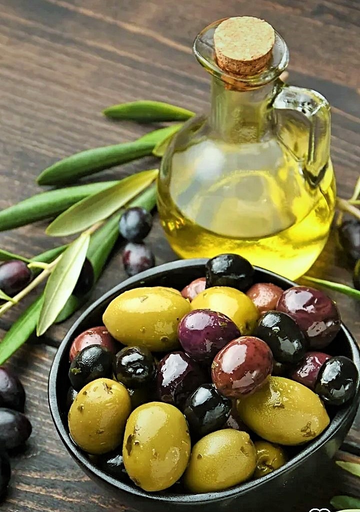 الزيتون … جميع فوائده الصحية وكل منافعه الغذائية الزيتون ... جميع فوائده الصحية وكل منافعه الغذائية