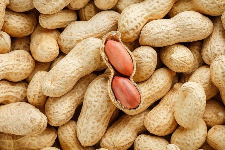 حلول سهلة وبسيطة تٌقلل من إصابة الطفل بحساسية الفول السوداني