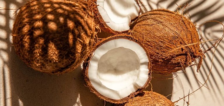 جوز الهند يُسبب زيادة الوزن … صحيح أم خطأ؟ جوز الهند يُسبب زيادة الوزن ... صحيح أم خطأ؟