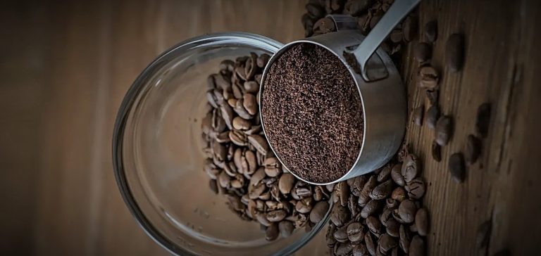 هل يمكن اعتبار القهوة مفيدة لبكتيريا الأمعاء النافعة؟ هل يمكن اعتبار القهوة مفيدة لبكتيريا الأمعاء النافعة؟